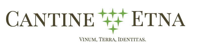 Vini Etna - Excellence and Innovation